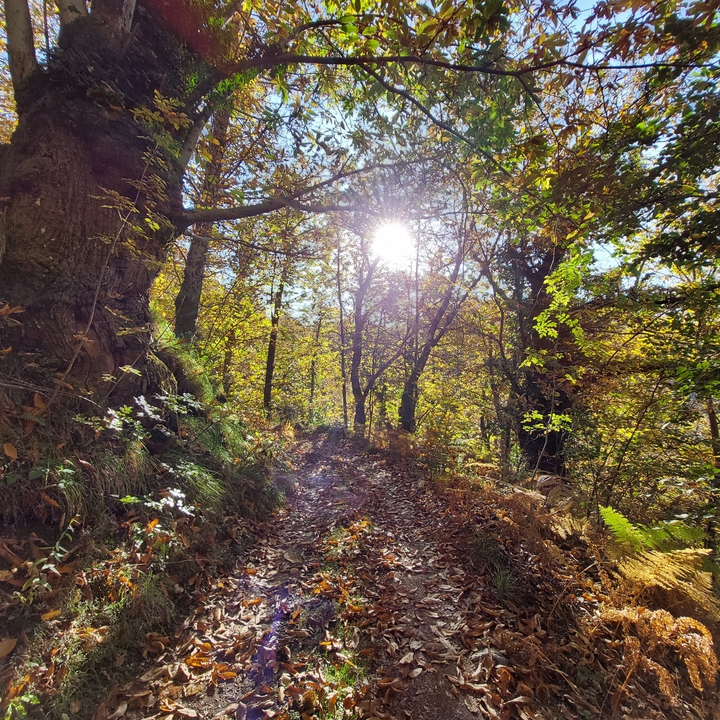 Stephan Mader Aichach Tickets, Schloss Blumenthal May 27, 2022