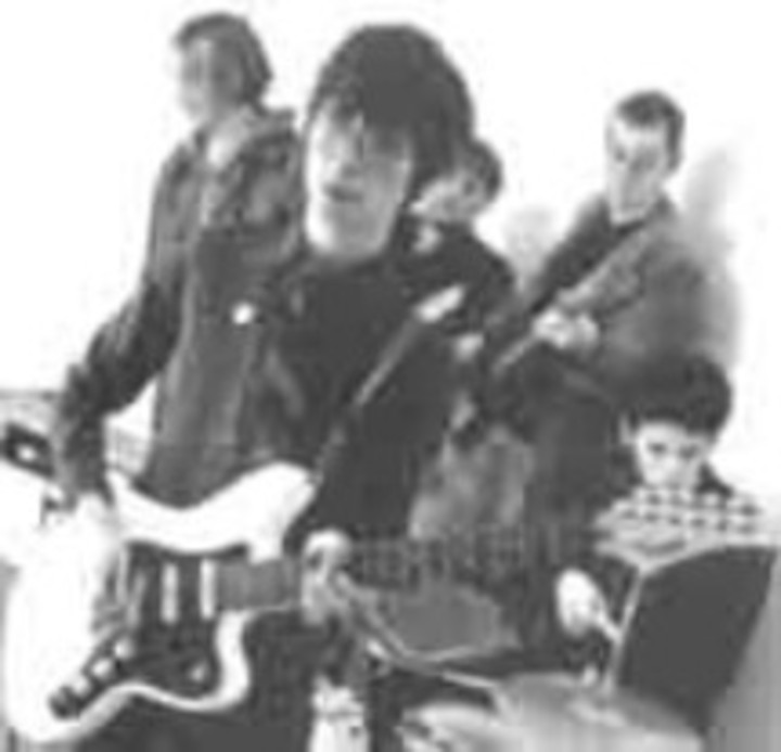 The Yummy Fur
