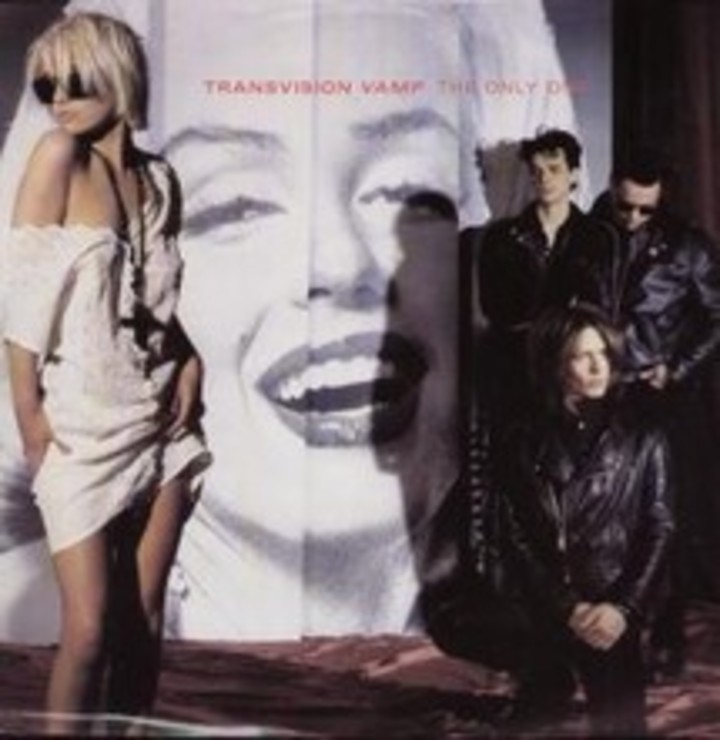 Transvision Vamp
