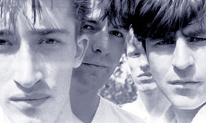 The Chameleons