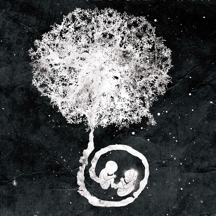 The Paradox Twin