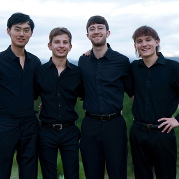 The Dolphins Quartet