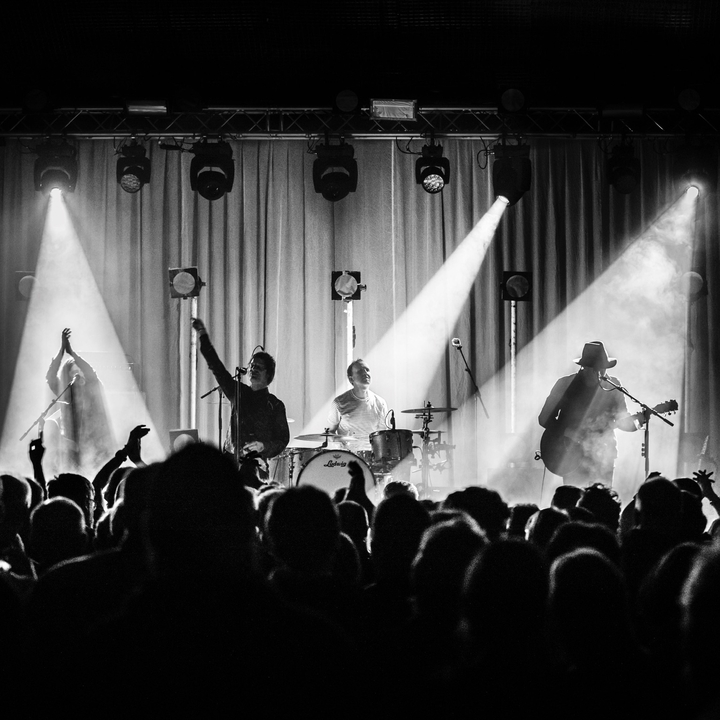 The Temperance Movement