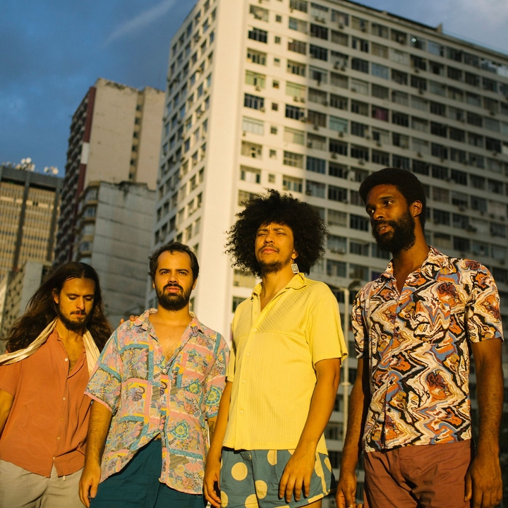 Boogarins