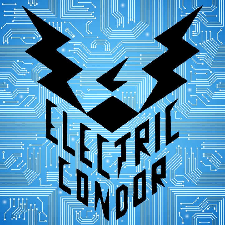 Electric Condor