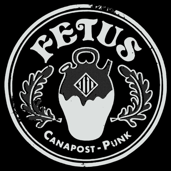 Fetus