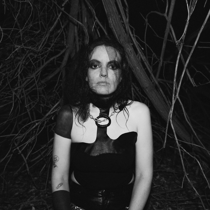 Lana del Rabies