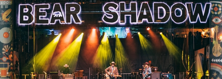 Festival Banner