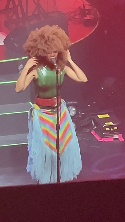 Erykah Badu チケット, 2026-2027 コンサートツアーの日程と詳細