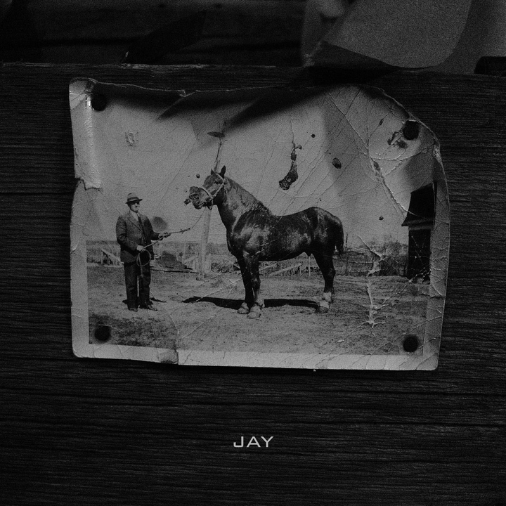 jay