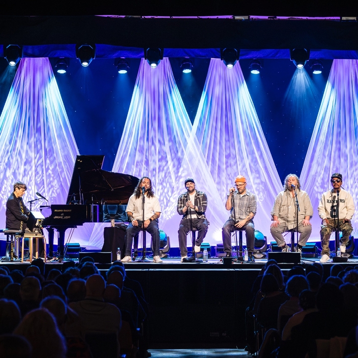 Söhne Mannheims