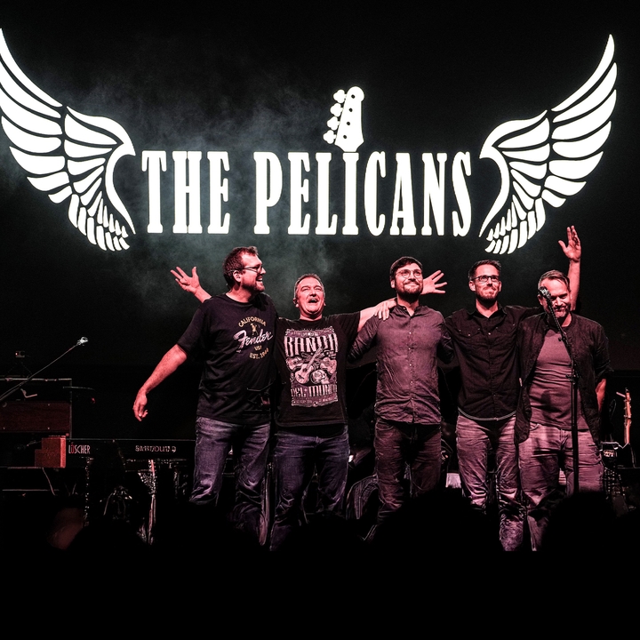 The Pelicans