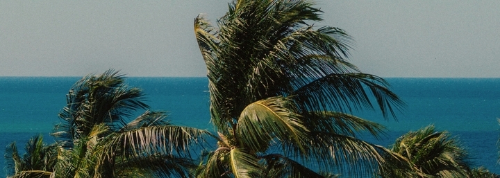 Festival Banner