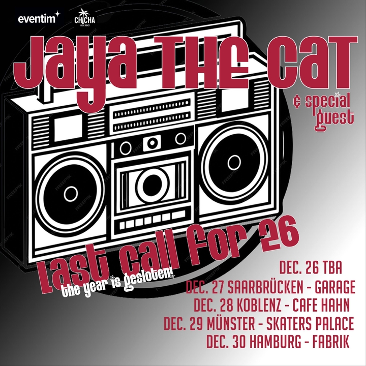 Jaya the Cat