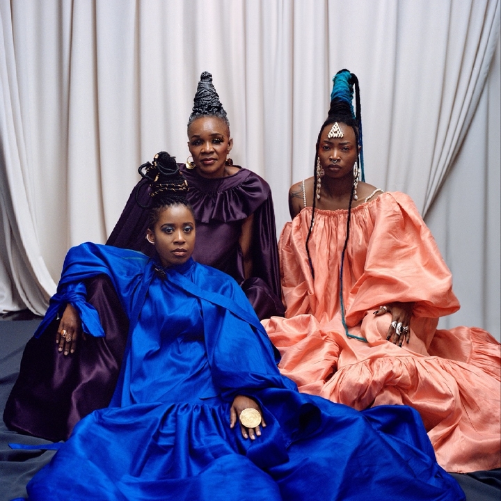 Les Amazones d'Afrique