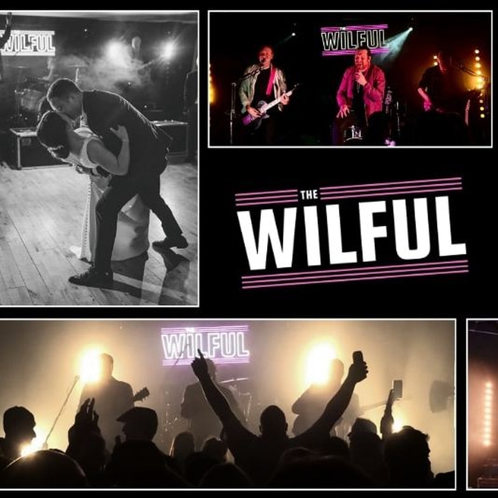 The Wilful