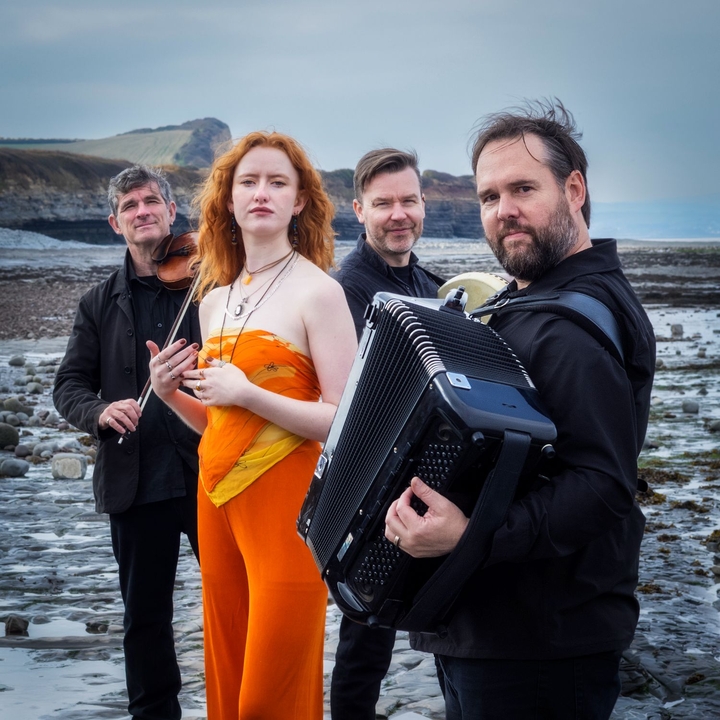 The Haar Band