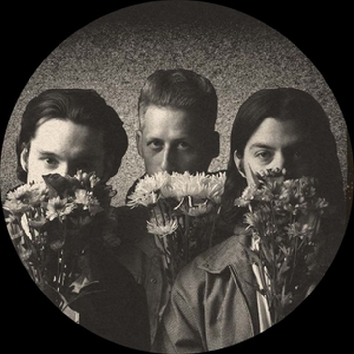 The Flowertones