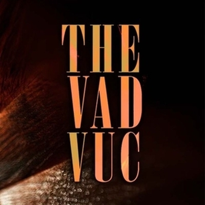 The Vad Vuc