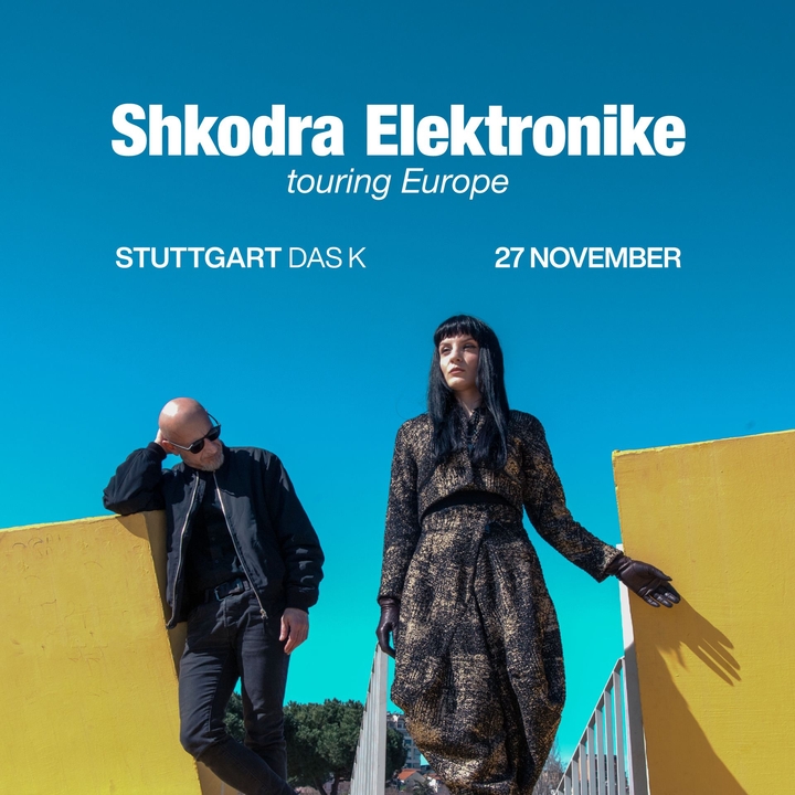 Shkodra Elektronike