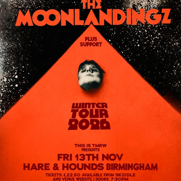 The Moonlandingz