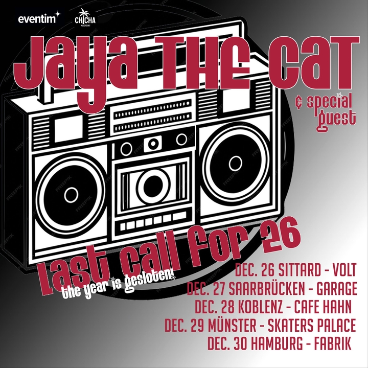 Jaya the Cat