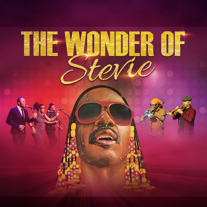 The Wonder Of Stevie