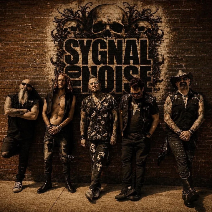 Sygnal To Noise