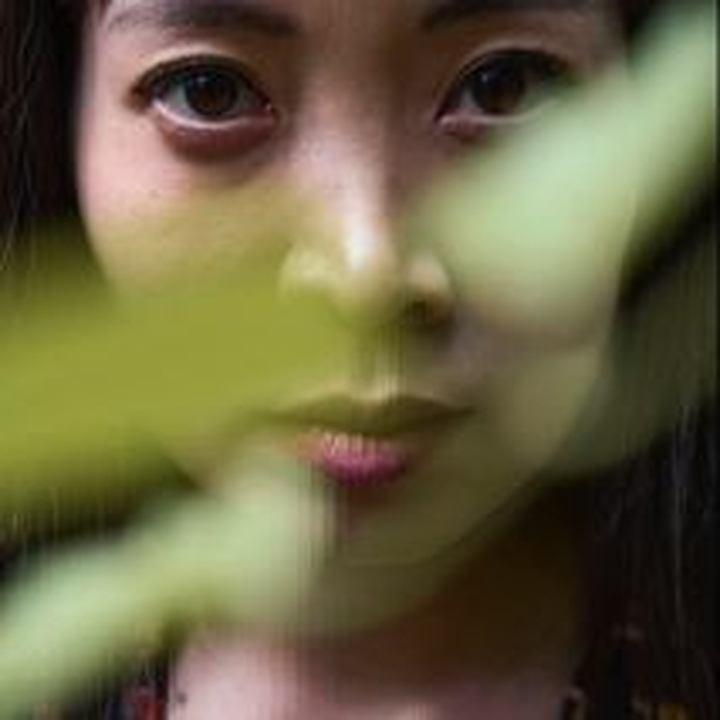 Mai Linh Dang
