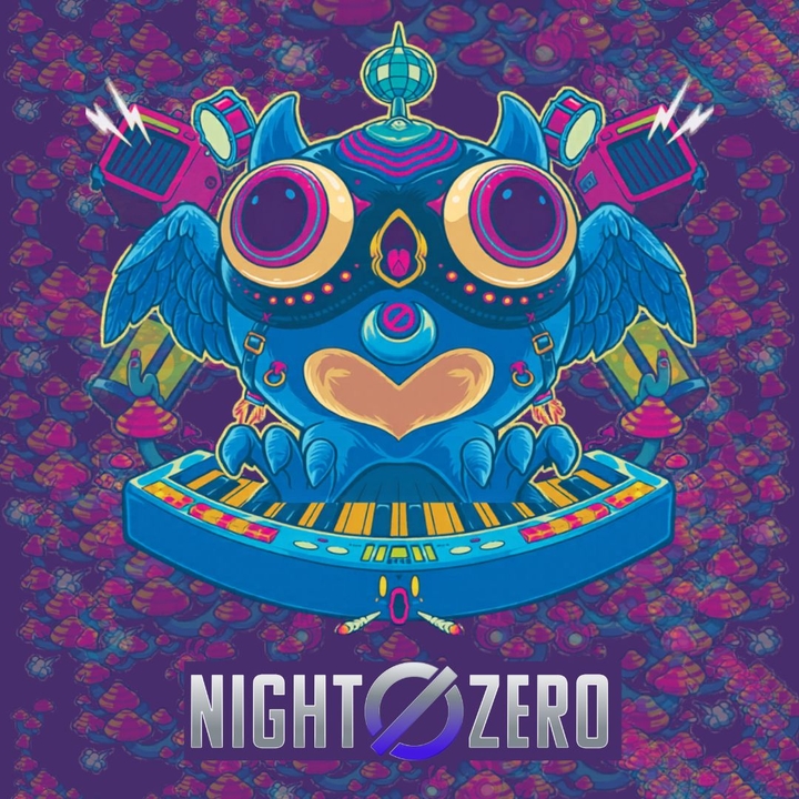 Night Zero Band