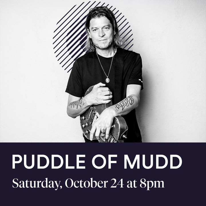 Puddle of Mudd