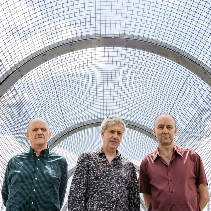 The Necks
