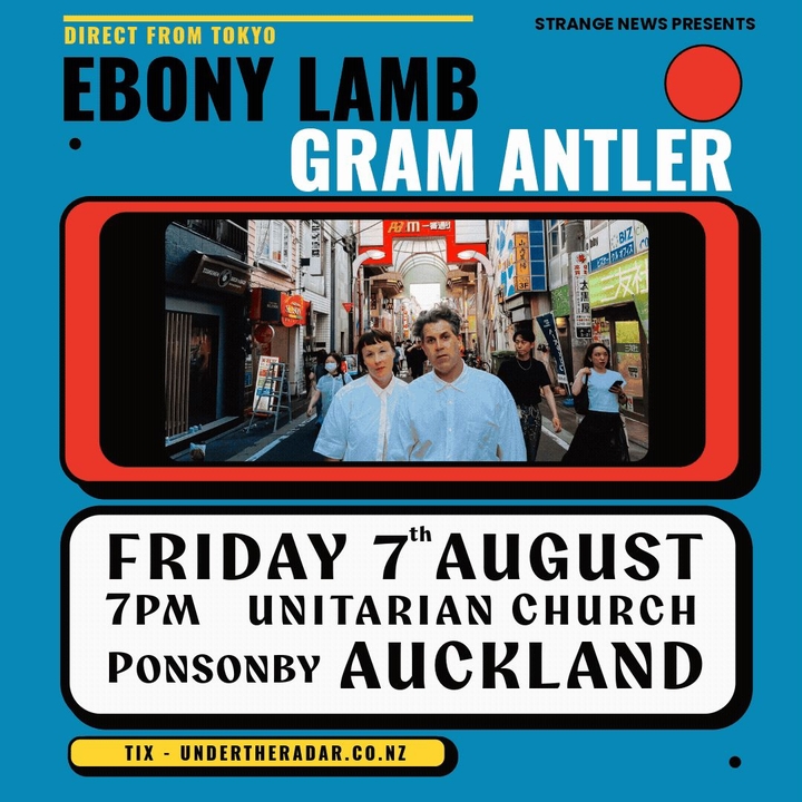 Ebony Lamb