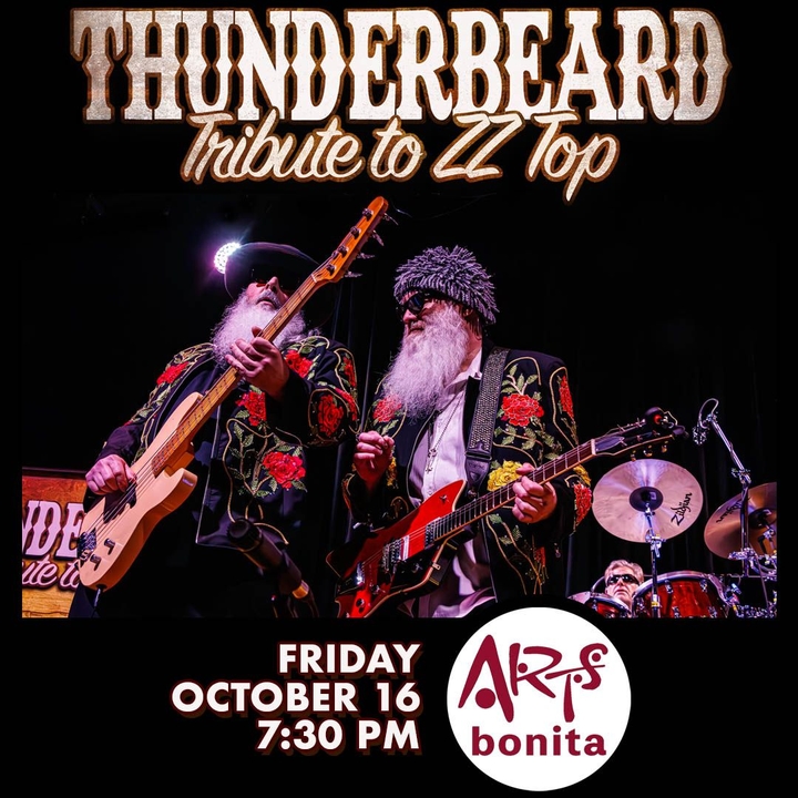 ThunderBeard: A Tribute to ZZ Top