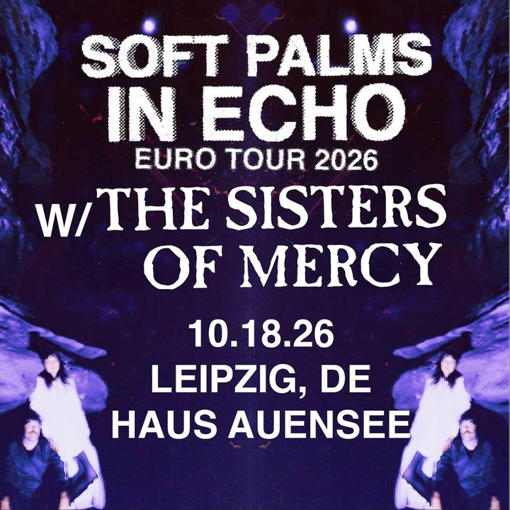 Soft Palms