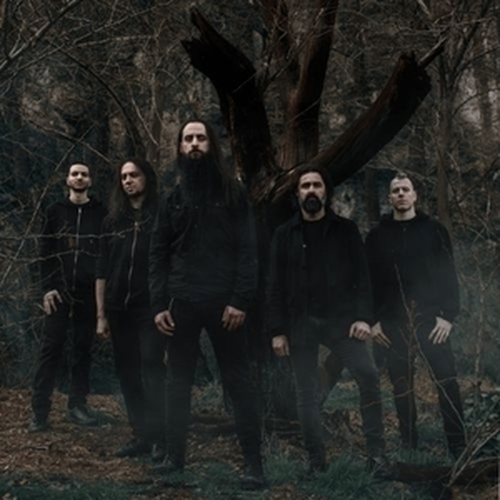 Shores Of Null