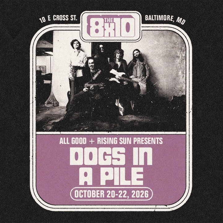 Dogs In A Pile