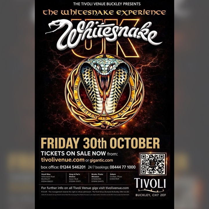 Whitesnake UK (the tribute)
