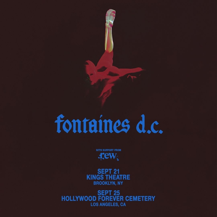 Fontaines D.C.