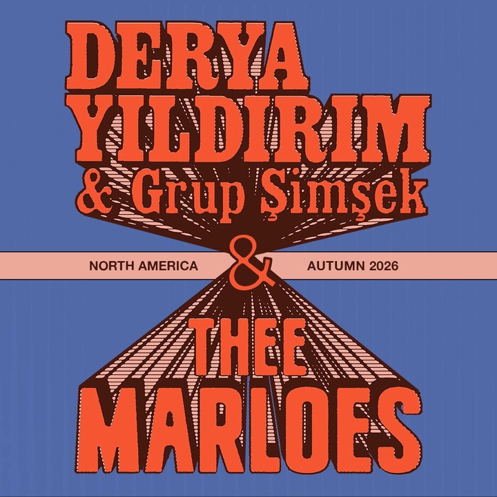 Derya Yıldırım & Grup Şimşek