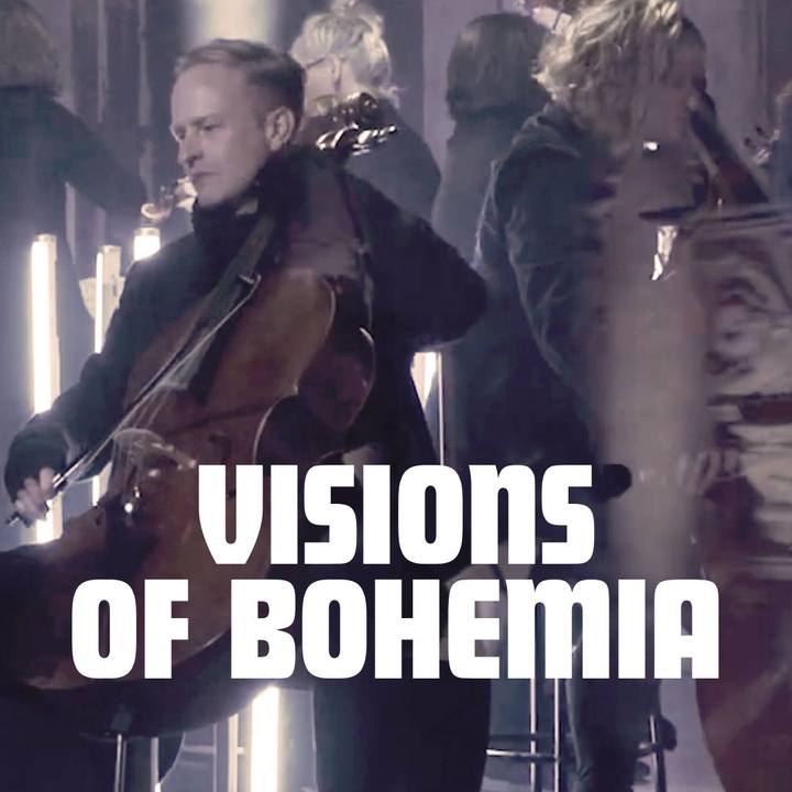 Orchestra Of The Swan