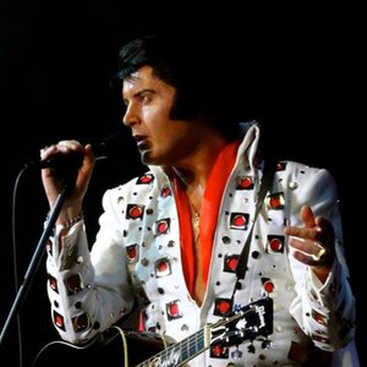 A Vision of Elvis