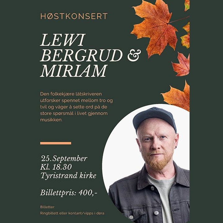 Lewi Bergrud