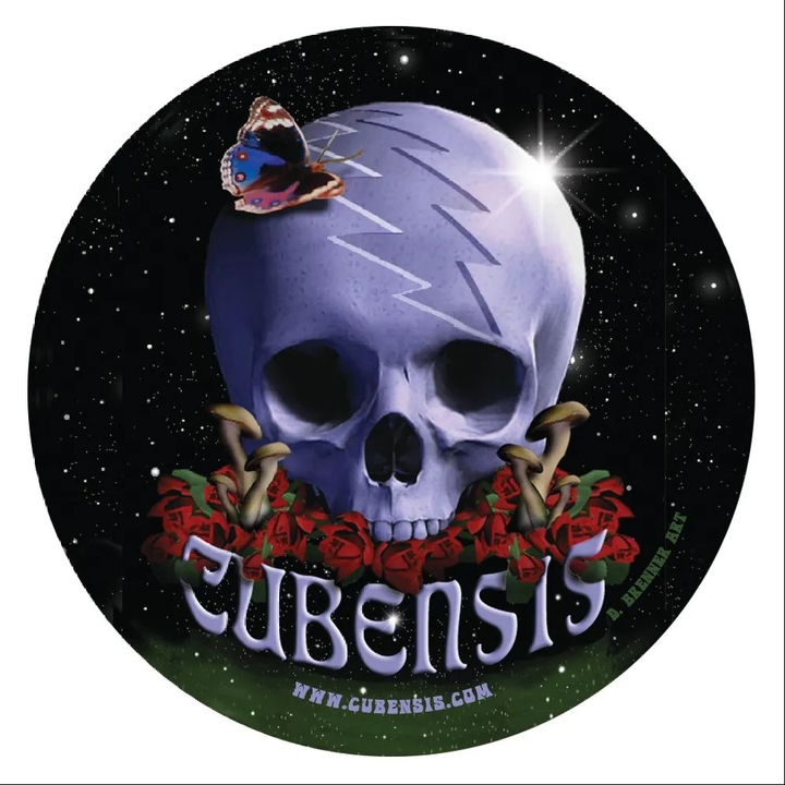 Cubensis- The Grateful Dead Music Tribute