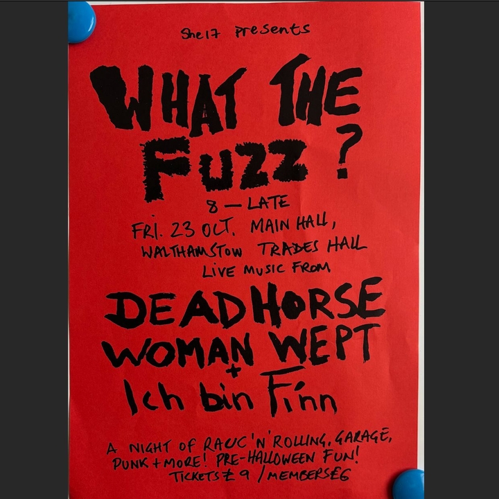 Ich Bin Finn