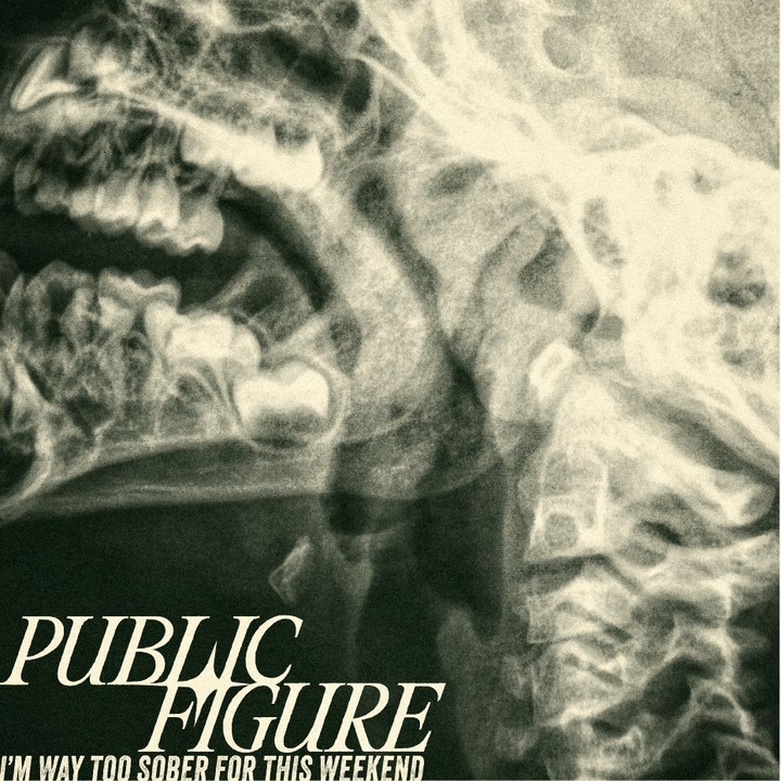Public Figure Band
