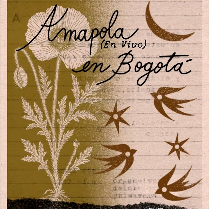 Amapola