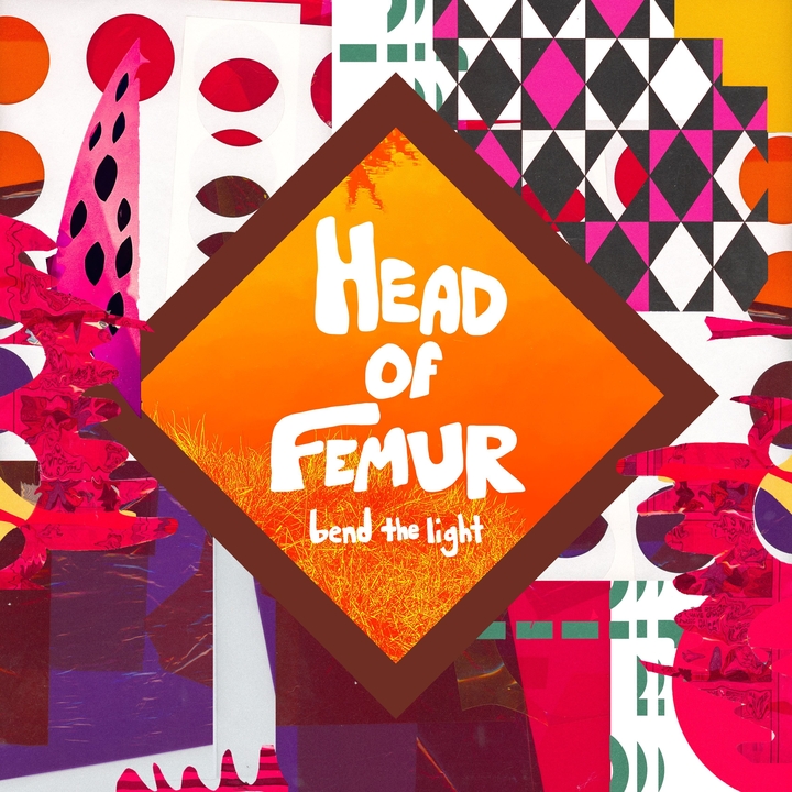Head of Femur
