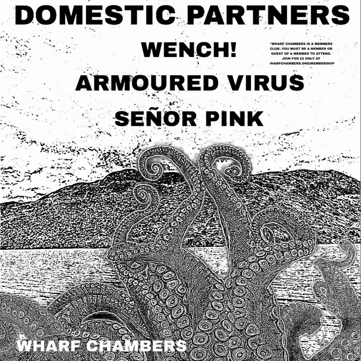 Señor Pink