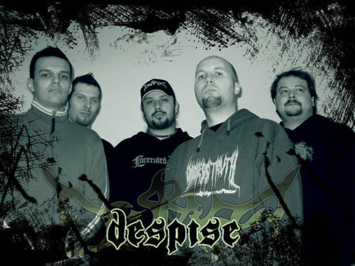 Despise